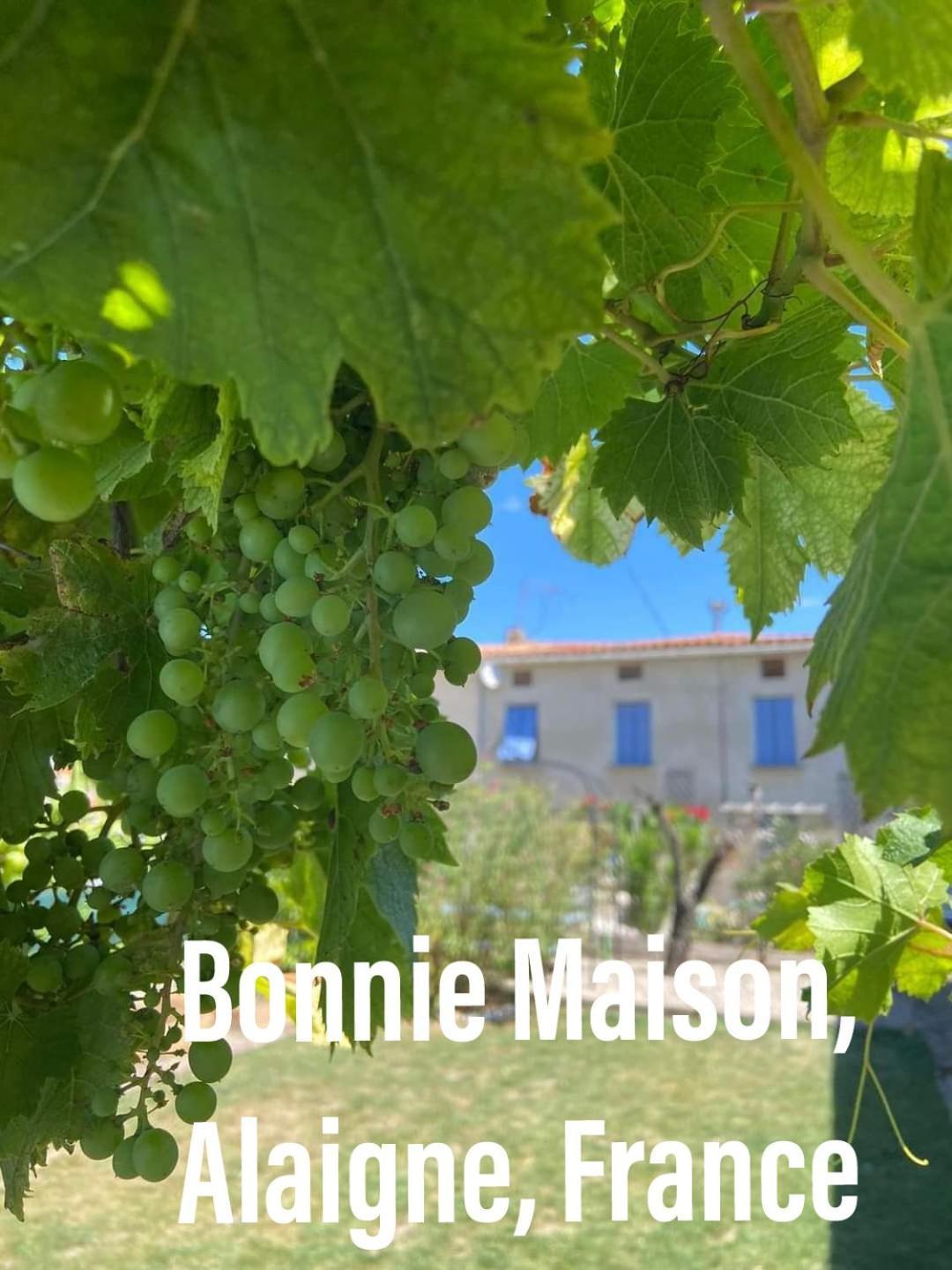 Villa Bonnie Maison à Alaigne Extérieur photo